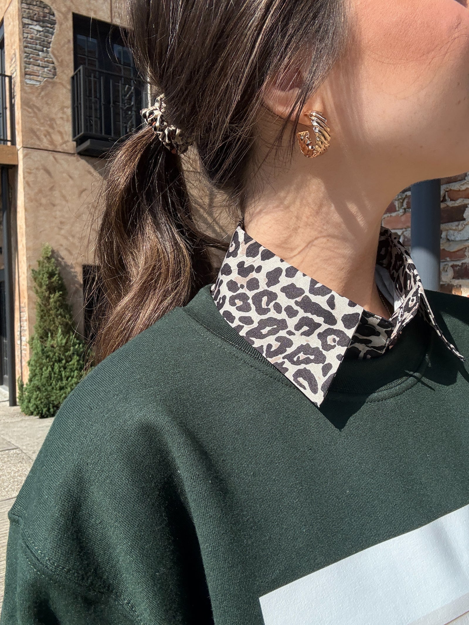 The Corporate Collar - Leopard